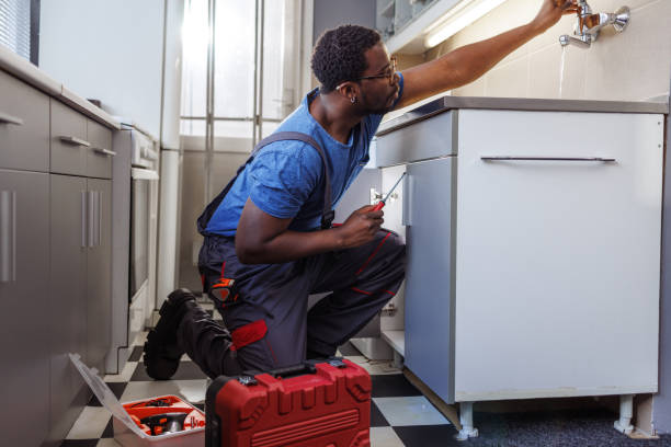 Best Local Plumber Services  in Hampton, SC